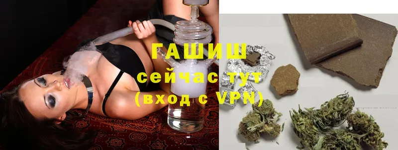 Виды наркотиков купить Сергач МЕТАДОН  Cocaine  Alpha-PVP  Галлюциногенные грибы  Меф мяу мяу  Бошки Шишки 